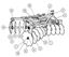 Picture of 18-24-NBF  Parts Diagram