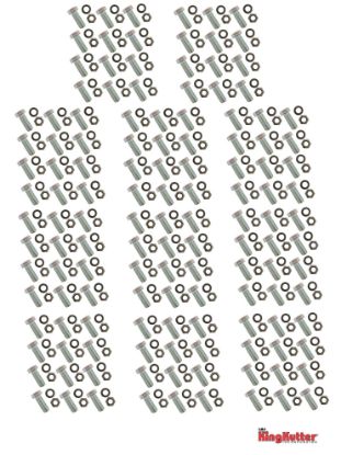 Picture of 505132 TINE BOLT PKG. 132 PCS.